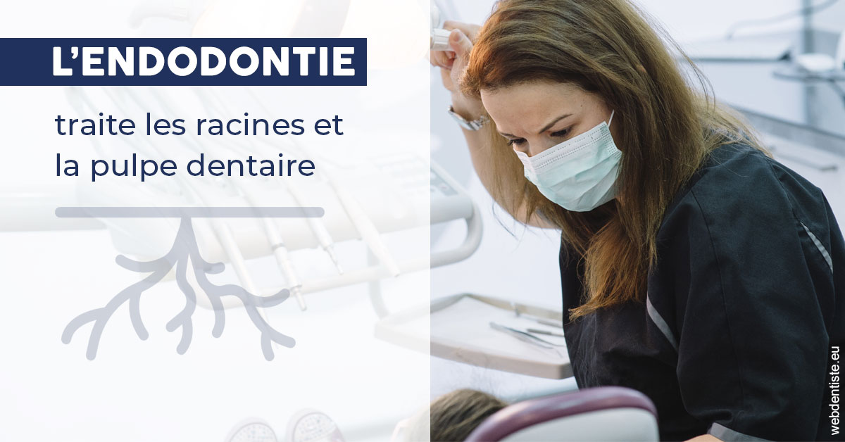 https://www.madentiste.paris/L'endodontie 1