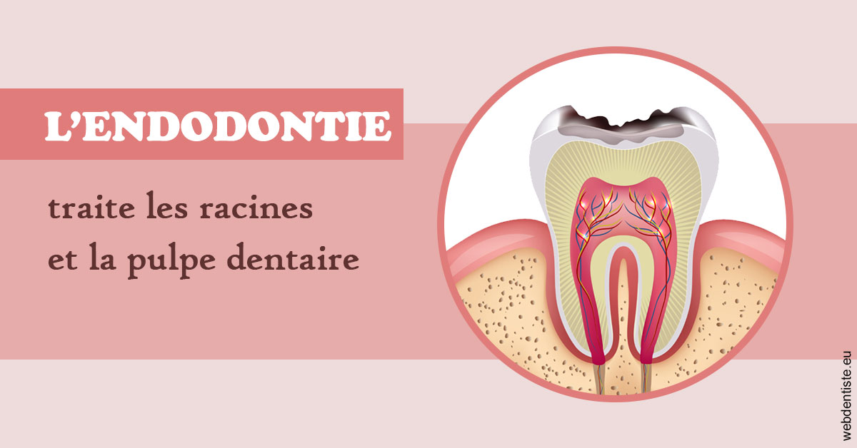 https://www.madentiste.paris/L'endodontie 2
