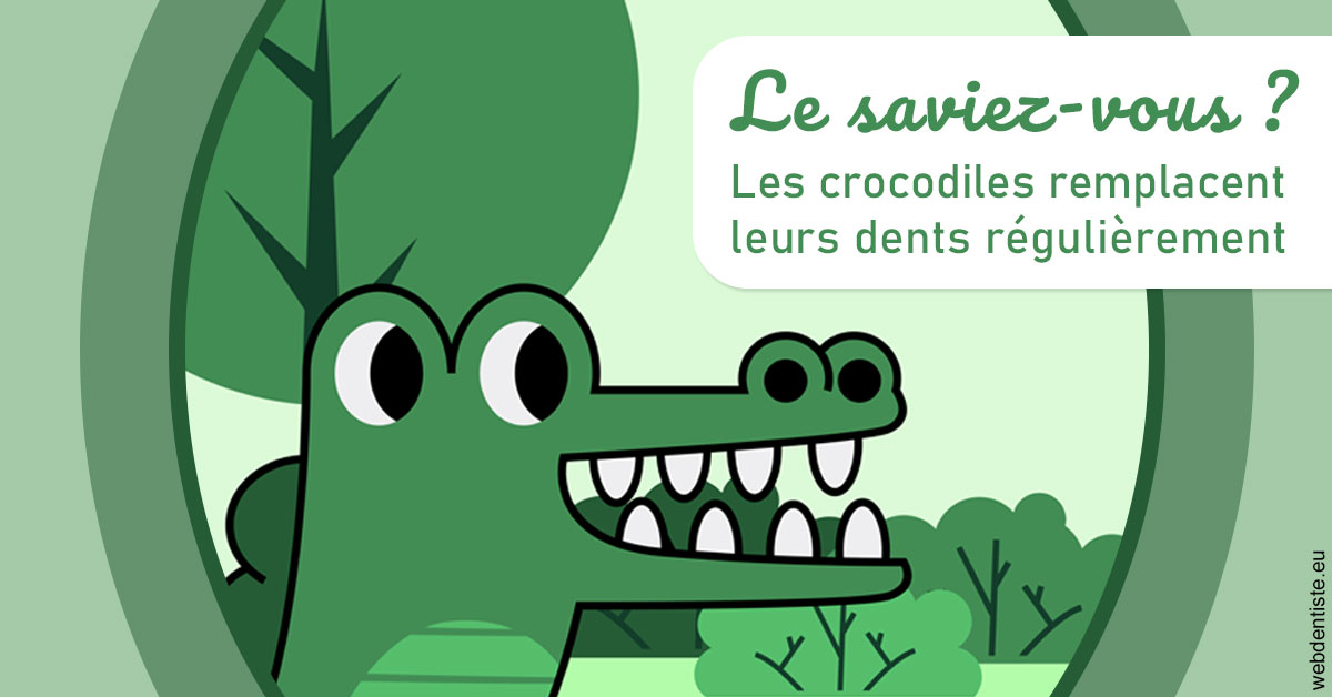 https://www.madentiste.paris/Crocodiles 2