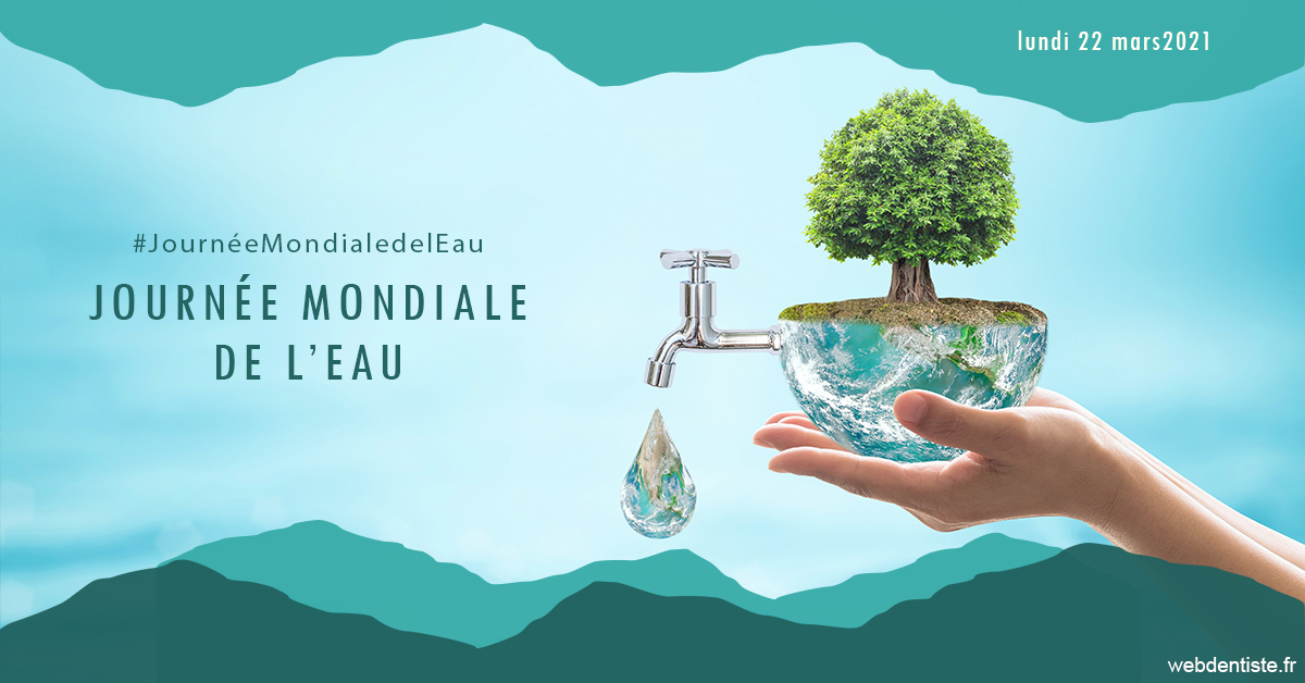 https://www.madentiste.paris/Journée de l'eau 1