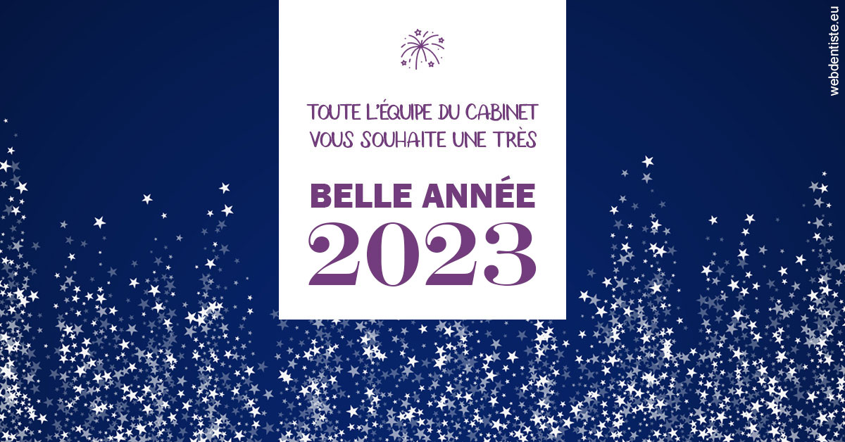 https://www.madentiste.paris/Bonne année 2023 2