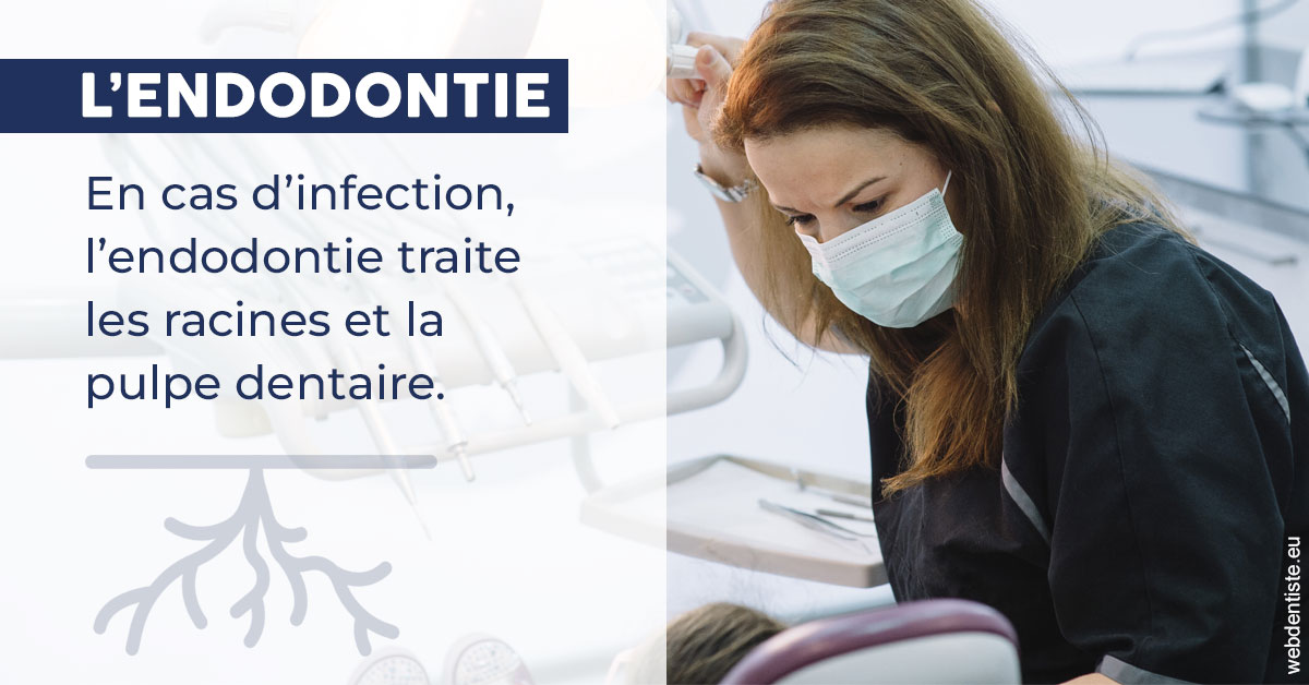 https://www.madentiste.paris/L'endodontie 1