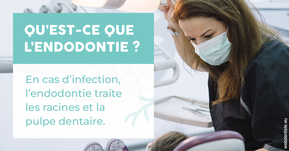 https://www.madentiste.paris/2024 T1 - Endodontie 01